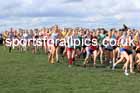 Intermediate Girls 2024 English Schools Cross Country Champs., Pontefract, March 16th.  Photo: David T. Hewitson/Sports for All Pics